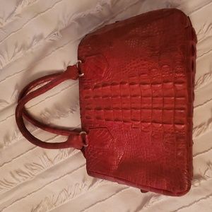 Alligator purse